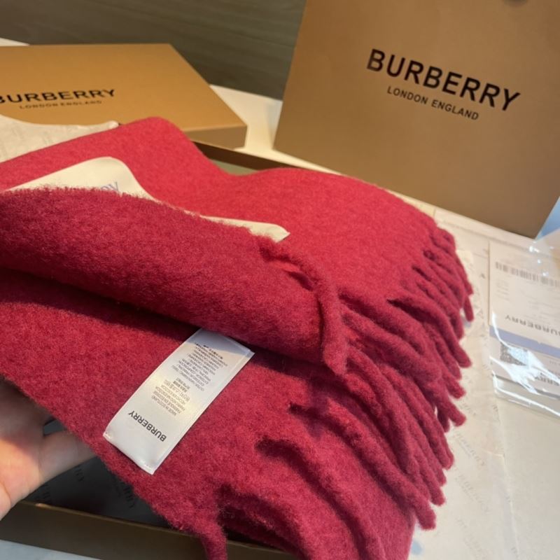 Burberry Scarf